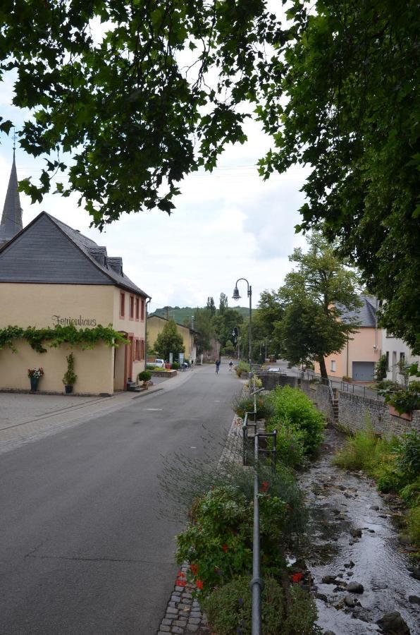 Altes Winzerhaus - Ferienhaus Burgen  外观 照片